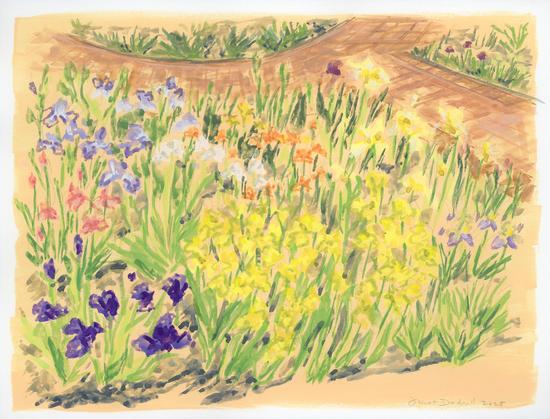 iris painting