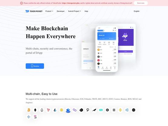 Screenshot of phishing site