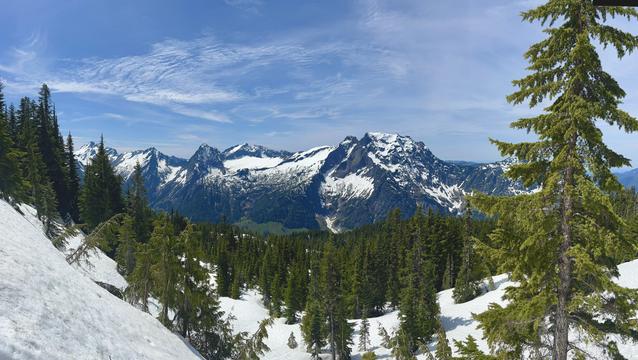 View of Big Four mountain and several other peaks from the top of Dickerman. Hemlock trees in the foreground are wizened and small and bent by snow. The distant peaks are all snow capped. Cirrus clouds overhead