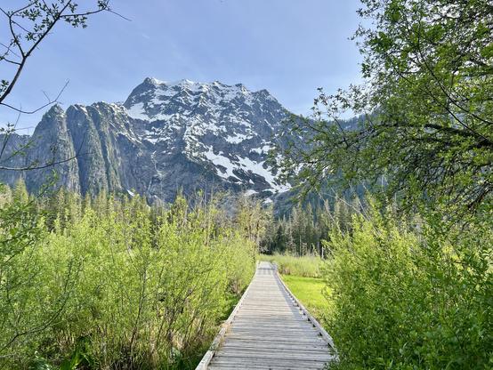 Another majestic view of Big Four Mountain in the distance and the boardwalk leading through the marsh to it.