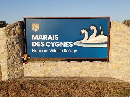 Ranger Sarah is a Marais Des Cygnes National Wildlife Refuge. The Refuge was established in 1992 to protect bottomland hardwood habitats along the Marais des Cygnes River
— at Marais des Cygnes National Wildlife Refuge.