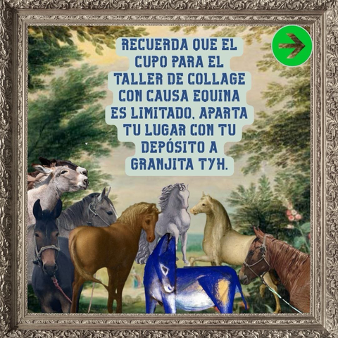 Imagen de un collage, el marco es dorado, en el cuadro hay nueve equinos, tres burros en el costado izquierdo y los demás son caballos de izquierda a derecha un de colores gris, marrón, blanco, azul, dorado, marrón. Están en medio de la copa de unos árboles que sobresalen de ambos lados de la imagen. En medio del cuadro hay letras azules que dice: CUPO PARA EL TALLER DE COLLAGUE CON CAUSA EQUINA ES LIMITADO. APARTA TU LUGAR CO. TU DEPÓSITO A GRANJITA TYH.
