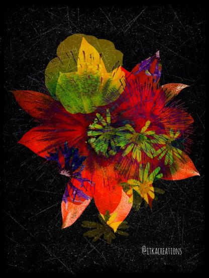Photomontage réalisé à partir de photos personnelles de fleurs sauvages. Sur fond noir, les fleurs se superposent comme une explosion colorée.