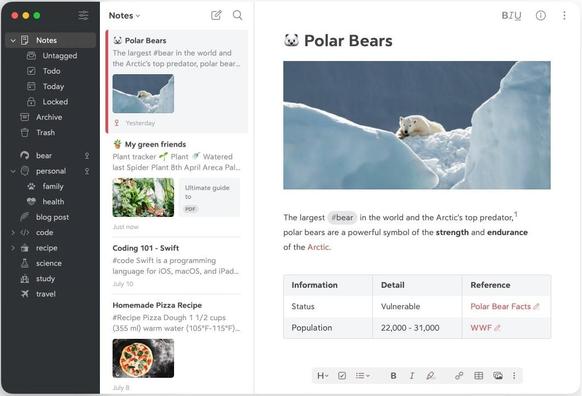 bear notes