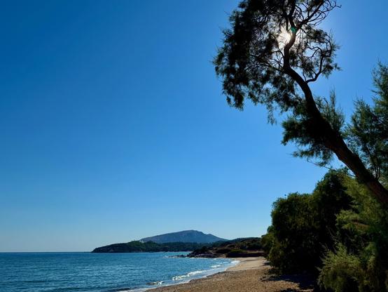 Lagrena beach showing sun through the trees and sand