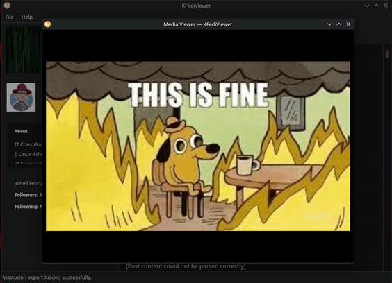 Expanded Image view of  KFediviewer. A local tool to view Mastodon data exports