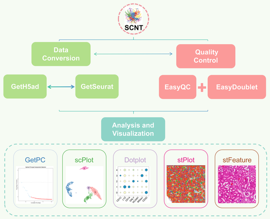 SCNT: an R package for data analysis and visualization of single-cell and spatial transcriptomics | BMC Bioinformatics