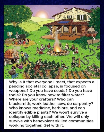 A social post from @lifeboatacademy which says: "Why is it that everyone I meet, that expects a pending societal collapse, is focused on weapons? Do you have seeds? Do you have tools? Do you know how to filter water? Where are your crafters? Who can blacksmith, work leather, sew, do carpentry? Who knows medicine, herblore, and can identify edible plants? We won't survive a collapse by killing each other. We will only survive with benevolent skilled communities working together. Get with it."
