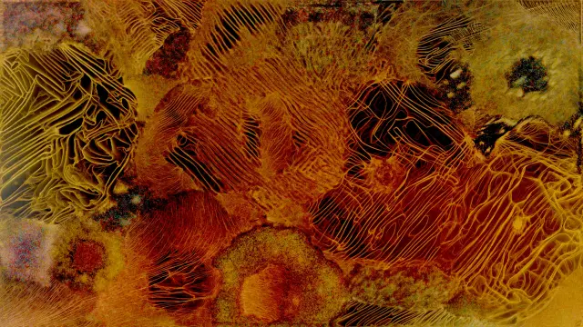 Code generated image. Mostly yellow/red hues. Some areas look a bit more orderly, apparently with some kind of rules controlling the lines, while other areas look more chaotic.