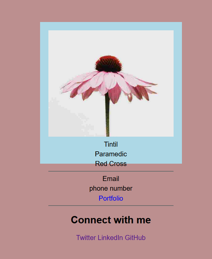 FreeCodeCamp Lab project Business Card