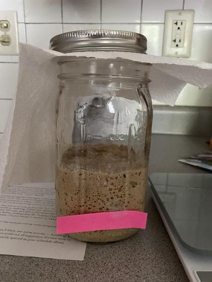 Jar of sourdough starter having risen double from Day 1 line. Seems doable and I have a handle on this process.