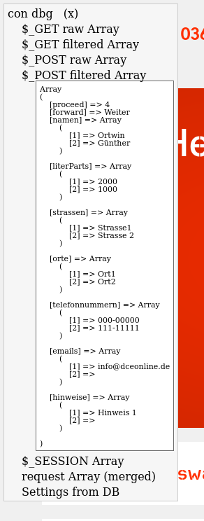 Screenshot des Debugger-Overlays mit Demo-Daten