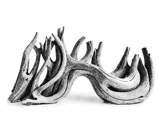 computer generated pen and ink drawing of driftwood
