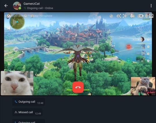 A screenshot of the screen sharing feature