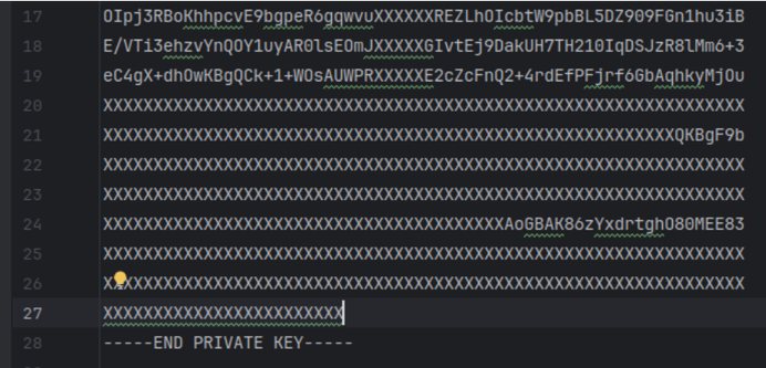 Corrupted PEM data of a private key created by openssl. We can replace the original characters by Xs and still get the key working as long as this replacement only affects the CRT params of the key.