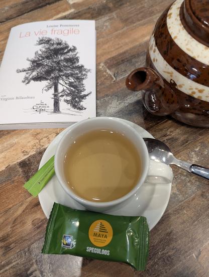 En premier plan une tasse de thé dans sa soucoupe. À droite un bout de la théière et plus loin le livre.