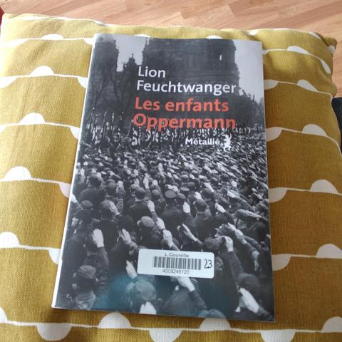 Photo du livre. La couverture est une photo d'archives où une foule d'hommes en uniforme fait le salut nazi