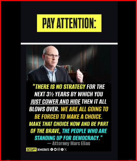 A poster of Attorney Marc Elias, a middle aged, balding man with glasses.  He is a Democratic Party lawyer who has worked in voting rights and election litigation since 2004.
 
Beneath his picture are these words, attributed to him:
"There is no strategy for the next 3-1/2 years by which you just cower and hide then it all blows over.  We are all going to be forced to make a choice.  Make that choice now and be part of the brave, the people who are standing up for democracy."
