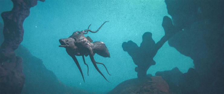 Wide shot, exterior, day -

A carapace fish swims underneath a series of coral arches.