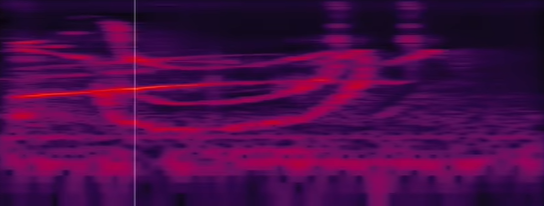 Artefact found in a voice print of a starling that was played the sound in the previous image. In a red on purple spectral voiceprint trace the outline of a bird is visible resembling strongly the created image that was played to the same bird