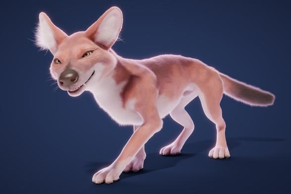 Dhole 3d model