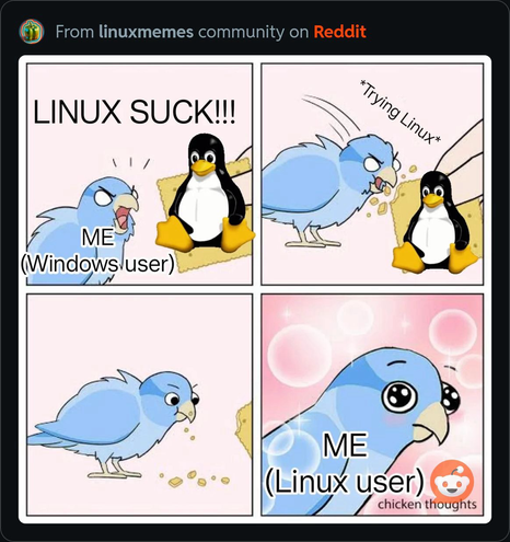 Two birds: one mocks Linux, then tries it, falls in love, and switches sides.