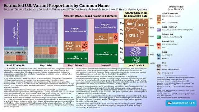 Chart: Est. U.S. Variant Proportions by Common Name
Sources: CDC, Cov-Lineages, NYITCOM, D. Focosi, WHN, others

[ beadsland on Ko-fi ]

Reskin of CDC's Variants Nowcast, and any significant variants in GISAID not broken out by CDC.

Five bar-style tree-charts, for fortnights through Jun 8–21. Legend of last fortnight, organized by subheadings of color-grouped families and convergent clusters. Percentages overlay each color key, reflecting share as of most recent tree-chart.

Essentially all Omicron-2 BA.2 dynasty. WHO-Vaccine-Target JN.1 family accounts for well over half share; Nimbus NB.1.8.1 / PQ for over two fifths.

For 6/22–7/5, estimates make up for outdated CDC Nowcast, with leading sequences from GISAID. Packed bubble charts fill single-variant tiles.

Legend:

LF.7 + NTD-meets-RBD [browns]:
52% - XFG.2†, XFG.3† & other Stratus XFG
2% - XFC
1% - other LF.7 + NTD-meets-RBD

JN.1.11 + FLiRT31-LP [purple]:
19% - LP.8.1.1 / NY†, NY.3† & other FDA-Vaccine-Target LP.8.1

Omicron-2 BA.2 [green]:
15% - PQ.2† & other Nimbus NB.1.8.1 / PQ

JN.1 + FLiRT-LF-7 [reds]:
⅝% - LF.7.9, LF.7.7.2 & LF.7.7.1 / PV
4% - other LF.7

JN.1.11 [blues]:
⅘% - other KP.3.1.1 / MC
0% - other JN.1.11

Other [greys]:
½% - other XEC
⅝% - other WHO-Vaccine-Target JN.1
0% - Other (not specified)
_____

Nimbus NB.1.8.1 / PQ is a scion of left-field Razor-Blade-Throat XDV.

WHO-Vaccine-Target JN.1 is a grandchild of Winter 2024's Pirola BA.2.86.

[Some footnotes omitted, due to too many recombinants.]