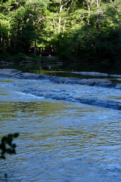 Water is gently running down a creek: the morning sun is shining on the leaves on the bank at the top.