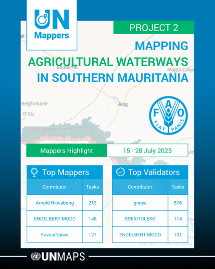 UN Mappers x FAO top contributors for Project 2, as of 28 July 2025