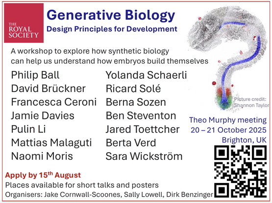 Generative Biology ...
20-21 October 2025
Brighton UK

 Design Principles for Development 
A workshop to explore how synthetic biology She o olf
can help us understand how embryos build themselves 
Philip Ball 
Yolanda Schaerli
David Bruckner 
Ricard Sole  
Francesca Ceroni 
Berna Sozen 
Jamie Davies 
Ben Steventon 
Pulin Li 
Jared Toettcher 
Mattias Malaguti 
Berta Verd 
Naomi Moris 
Sara Wickstrom
Apply by 15th August
Places available for short talks and posters [=]
Organisers: Jake Cornwall-Scoones, Sally Lowell, Dirk Benzinger