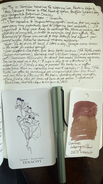 Open notebook with handwritten text from the post at the top of the page with additional text: “Over-exposure to ‘incapacitating agents’ such as tear gas and/or pepper spray may potentially lead to lingering health problems. […] It is important to help your body to eliminate the toxins as quickly and effectively as possible, in order to minimize long term effects. The following is a list of things you can do to help detoxify and support your immune system following chemical weapons exposure: • Water: Try to drink at least 2 liters a day. Squeeze some lemon in the water for added benefit. • Liver support: Use bitter, liver tonic herbs such as Milk Thistle seeds (Silybum mariannum), Burdock root (Arctium lappa), and Dandelion root (Taraxacum officinale) for about two weeks following exposure. They can be used as tea, 1- 4 cups a day, or as a tincture 2-4 dropperfuls 2-3 times a day, or powder the herbs in a coffee grinder, place them in capsules and use 4 capsules 1-3 times a day. Milk Thistle can often be purchased pre-encapsulated. Your liver must work overtime to filter out the toxins. Avoiding alcohol, cigarettes, caffeine, fried or high fat foods will make its job easier.” — Anarchist Black Cross, First Aid & How to Perform It, 2025. Below the text is a card with a line drawing of burdock with a few of the purple tufts of the flowers colored in. Next to the card is a light green fountain pen and a swatch of yellow-brown ink.