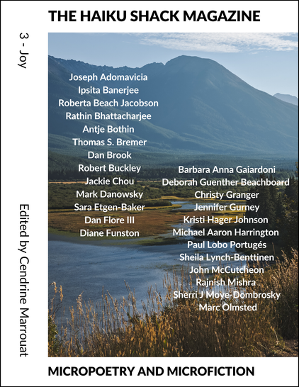 Cover for the upcoming issue of The Haiku Shack Magazine.