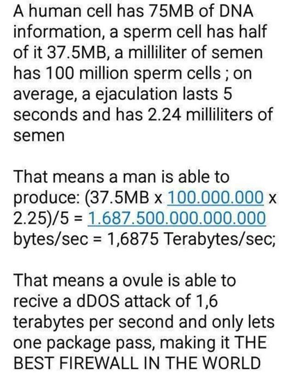 A human cell has 75MB of DNA
information, a sperm cell has half
of it 37.5MB, a milliliter of semen
has 100 million sperm cells ; on
average, a ejaculation lasts 5
seconds and has 2.24 milliliters of
semen

That means a man is able to
produce: (37.5MB x 100.000.000 x
2.25)/5 =1.687.500.000.000.000
bytes/sec = 1,6875 Terabytes/sec;

That means a ovule is able to
recive a dDOS attack of 1.6
terabytes per second and only lets
one package pass, making it THE
BEST FIREWALL IN THE WORLD