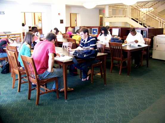 Photograph of people in a library. People are at tables reading and at desks using computers.