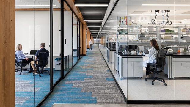 BioLabs|TUM launched to foster start-ups