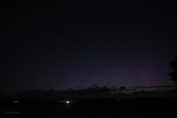 A night sky image with a low bank of cloud over the low dark horizon. Above are stars dotted against a dark sky with pale purple-ish rays showing to the lower right. A few house lights show on the horizon