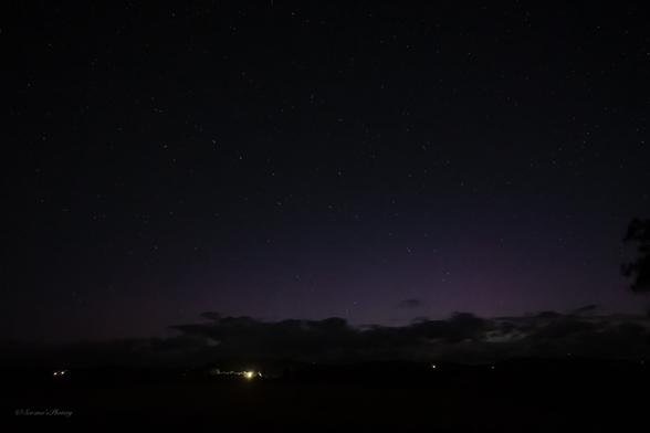 A night sky image with a low bank of cloud over the low dark horizon. Above are stars dotted against a dark sky with pale purple-ish rays showing along the horizon. A few house lights show on the horizon