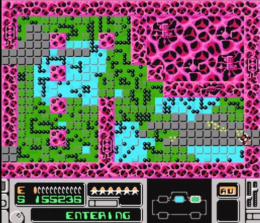 screenshot of an old nintendo game. There is a grey grid surrounded by pink slime. black dots crawl around the grid spreading green and blue colors. a small player sprite in the bottom right corner is shooting yellow bullets. There is a HUD with live, a score, and a map