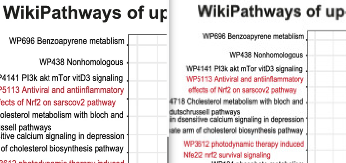 Screenshot from the blog post showing the publisher version of an image and the seriously degraded "archived" version in PubMed Central, where text is even by humans hard to read. The snippet of the image shown shows the names of a number of WikiPathways pathways, with WP-identifier and name.