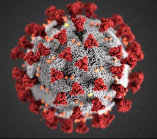 COVID 19 Virus