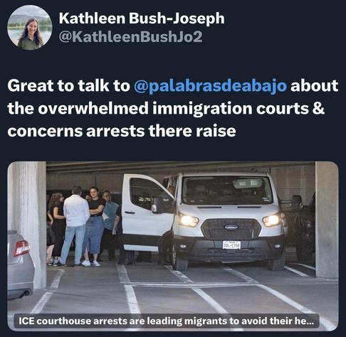 An image features a group of people & standing near a white ICE van in a parking structure. The text discusses overwhelmed immigration courts and concerns surrounding arrests at these locations.