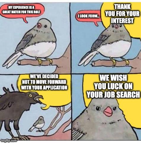 The image is a four-panel comic featuring two birds, a smaller gray bird and a larger black bird, perched on tree branches.

    Panel 1 (top left): The smaller gray bird is shown with a speech bubble saying, "MY EXPERIENCE IS A GREAT MATCH FOR THIS ROLE."
    Panel 2 (top right): The smaller gray bird continues with a speech bubble that says, "I LOOK FORW.." The larger black bird responds with a speech bubble saying, "THANK YOU FOR YOUR INTEREST."
    Panel 3 (bottom left): The larger black bird is shown speaking with a speech bubble that says, "WE'VE DECIDED NOT TO MOVE FORWARD WITH YOUR APPLICATION." The smaller gray bird is visible in the background.
    Panel 4 (bottom right): A close-up of the smaller gray bird with a speech bubble saying, "WE WISH YOU LUCK ON YOUR JOB SEARCH."