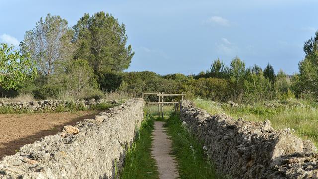 A photo of a path lined with stone walls that are several feet high. There is a wooden barrier at the end of the path. The sky is blue.