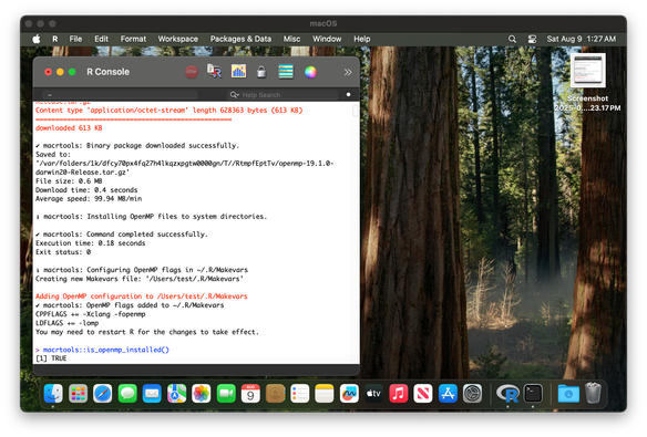 R Console on macOS displaying the automated OpenMP installation process. Shows successful download and installation of OpenMP binaries (613 KB), automatic configuration of compiler flags in ~/.R/Makevars, and confirmation that macrtools::is_openmp_installed() returns TRUE, indicating a successful setup without manual toolchain configuration.