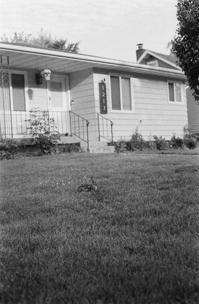 Black and white film photographs of a quiet suburban neighborhood. The first image shows a rabbit sitting alert on a neatly trimmed front lawn in front of a house. The second image shows a human skeleton decoration standing on a porch in midsummer, surrounded by typical suburban yard details.