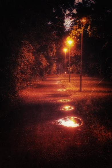 A photograph captures a dimly lit, dirt path winding through a park at night. A row of streetlights with a warm, orange glow illuminates the scene, casting long shadows and creating a moody atmosphere. The light from the lamps reflects in a series of puddles that punctuate the path, each one mirroring the fiery hue of the lamps above. The foliage on either side of the path is dark and indistinct, though the leaves closest to the light source are tinged with a golden-orange colour. The overall feeling is one of quiet solitude and stillness.