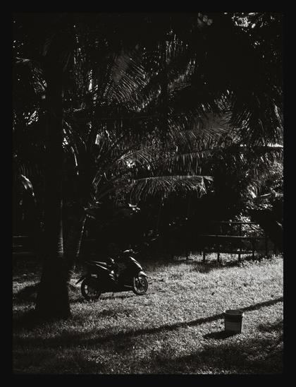 Ditto, but in portrait, focusing on the motorcycle standing near the tree instead.