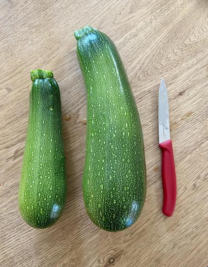 Twee courgettes op een houten tafel. Eentje zo groot als een zogenaamd aardappelschilmesje, eentje een stuk groter en vooral dikker. Een rood scherp mesje ernaast.