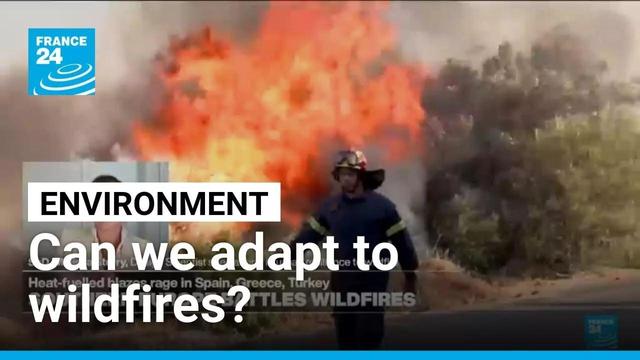 How can we adapt to the growing risk of wildfires? • FRANCE 24 English