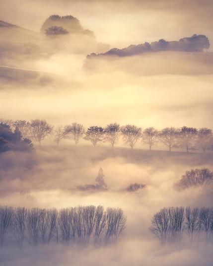 Bathed in the soft glow of golden hour, rows of winter trees emerge through veils of mist in Hawke’s Bay. From the valley floor to distant hilltops, each layer reveals a quiet rhythm — a fleeting moment of calm where land, light, and fog move in unspoken harmony.